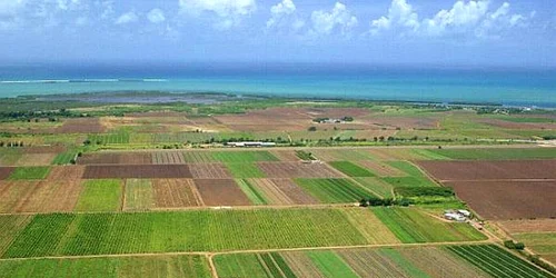 teren arabil parcele