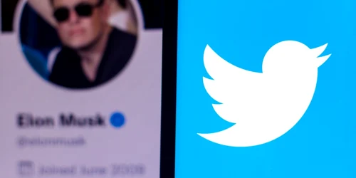 Elon Musk Twitter FOTO Shutterstock