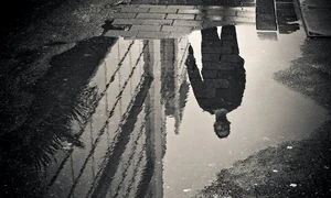 rain 2563986 1280 jpg