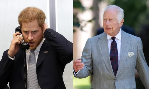 Prințul Harry Regele Charles Foto Profimedia jpg