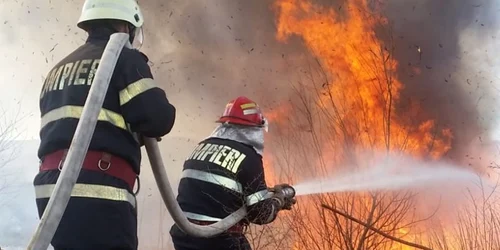 Incendiu de vegetatie în judeţul Tulcea FOTO ISU Tulcea