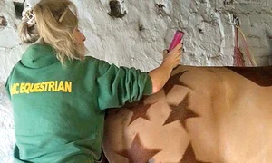 Însă, la final, e fericită  pentru că iese o veritabilă  “operă de artă” jpeg