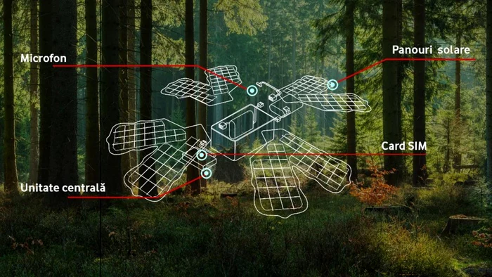 padure inteligenta vodafone proiect