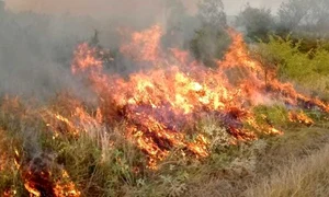 incendiu mehedinti jpeg