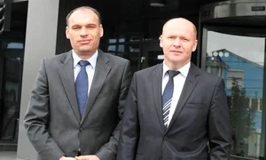 fratii paval dedeman