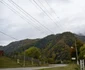 Ţara Loviştei - Vâlcea Foto Daciana Stoica