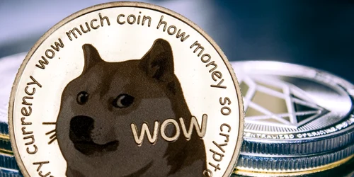 Valoarea criptomonedei Dogecoin a crescut de sute ori după raliul forumiştilor Reedit FOTO SHUTTERSTOCK