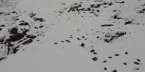 ninge la munte la jumatatea lunii iunie