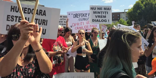 protest Targu jiu2 jpg