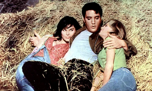 5 elvis11 jpg jpeg