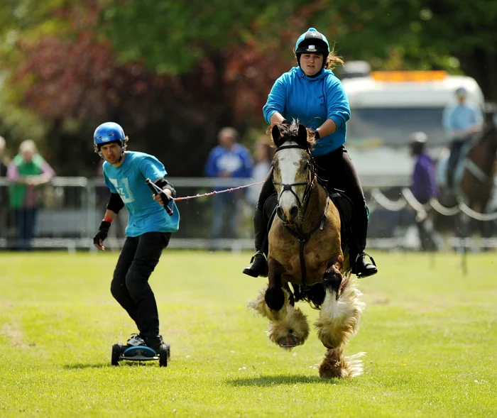 Horseboarding (foto: rexfeatures)
