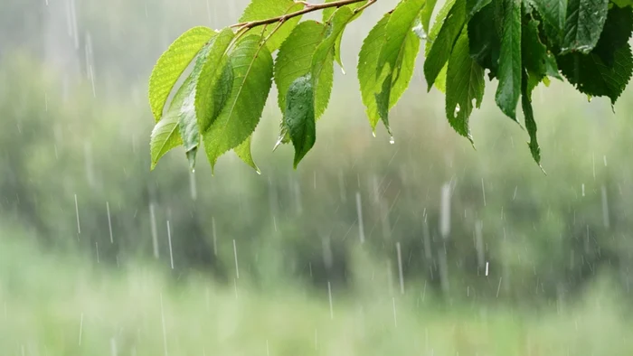 Vremea se răcește accentuat / foto: Shutterstock