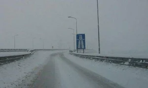 img 4 jpeg