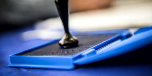 stampila vot sectie votare digi