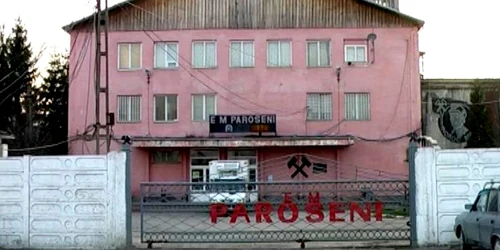 mina paroseni