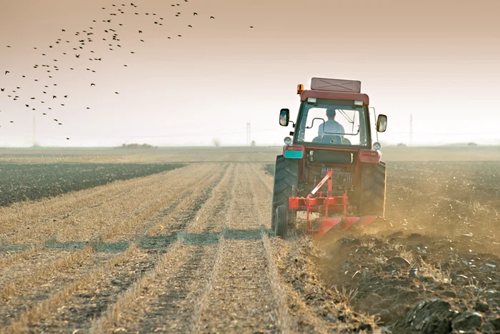 Cultivatorii au ajuns să doarmă în tractoare, doar - doar vor salva ceva