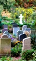 cimitir, foto shutterstock jpg