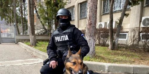 canispolicent Sursa PolitiaNeamt1 jpg