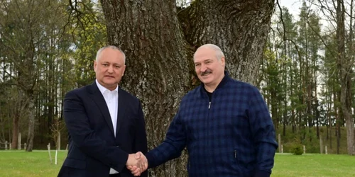 dodon